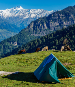 Experience the serenity of nature by camping in the Himalayan foothills, surrounded by lush forests, glistening rivers, and clear night skies.