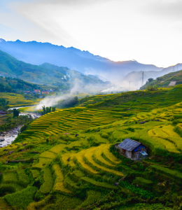 Explore the stunning landscapes of Sapa, trek through terraced rice fields, and encounter diverse ethnic communities. For thrill-seekers, embark on motorbike adventures along the scenic Hai Van Pass.