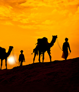 Embark on a thrilling desert safari to experience the mesmerizing sand dunes of the Arabian Desert. Enjoy activities such as dune bashing, camel riding, and witness a breathtaking sunset over the vast expanse.