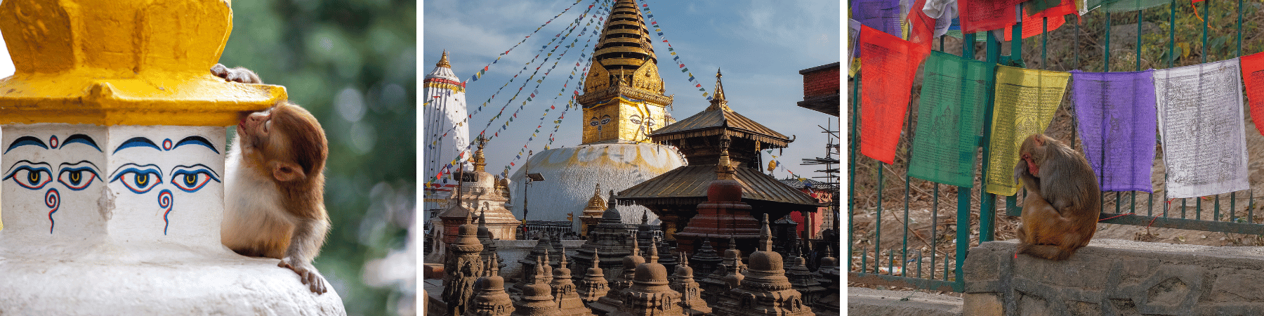 Monkey Temple (Swayambhunath, Kathmandu)