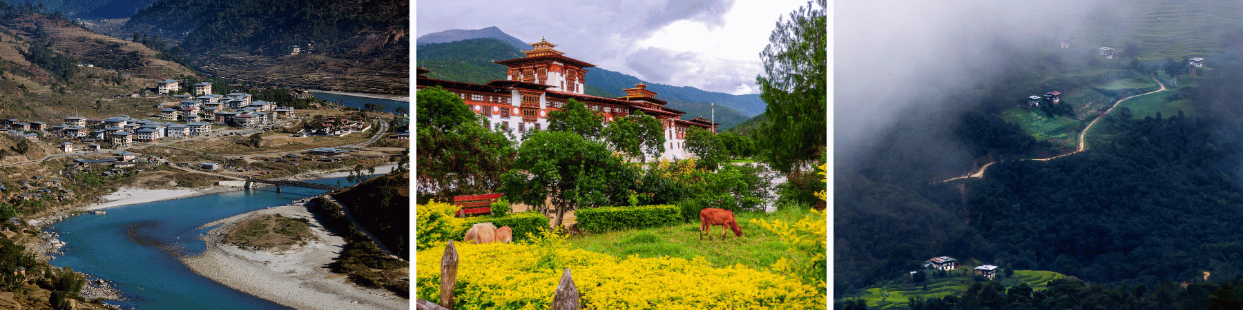 Punakha Valley-min